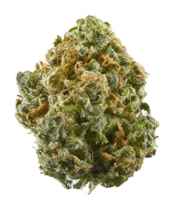 Blue Dream