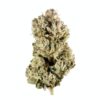 Gorilla Glue - GG4