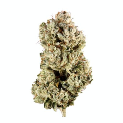 Gorilla Glue - GG4