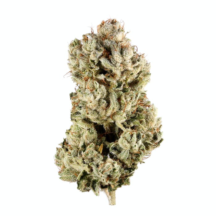 Gorilla Glue - GG4