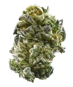 GSC - Girl Scout Cookies