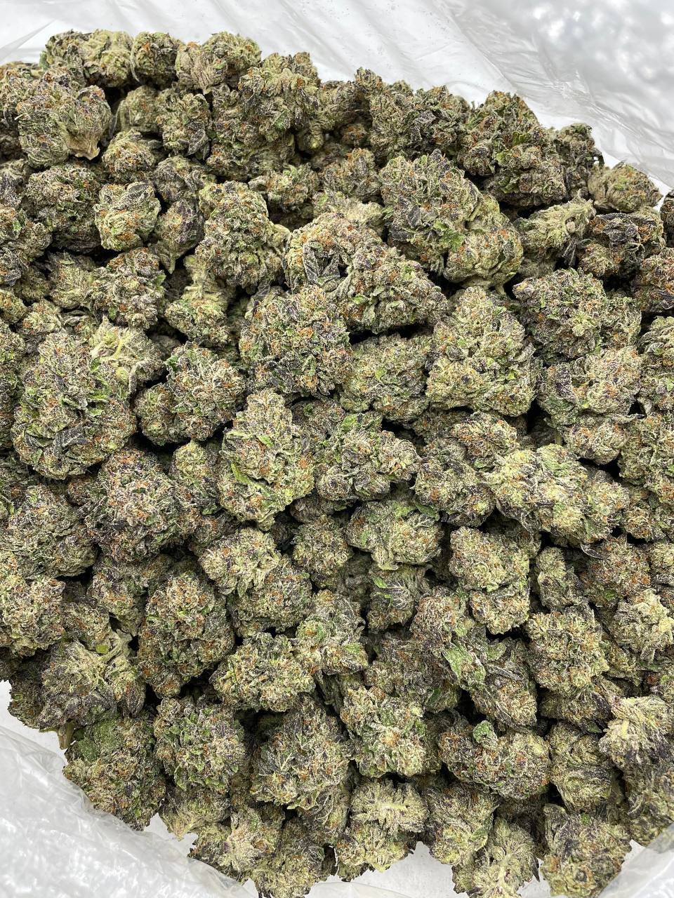Purple Rain mixed lights
