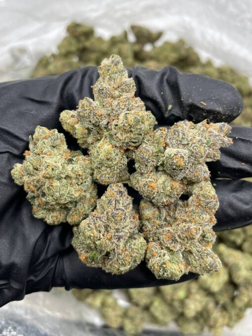 Lemon Cherry Mimosa - Image 2