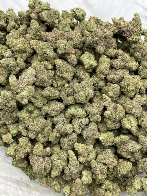 Lemon Cherry Mimosa