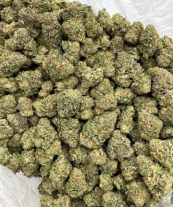 Sunkist mixed lights