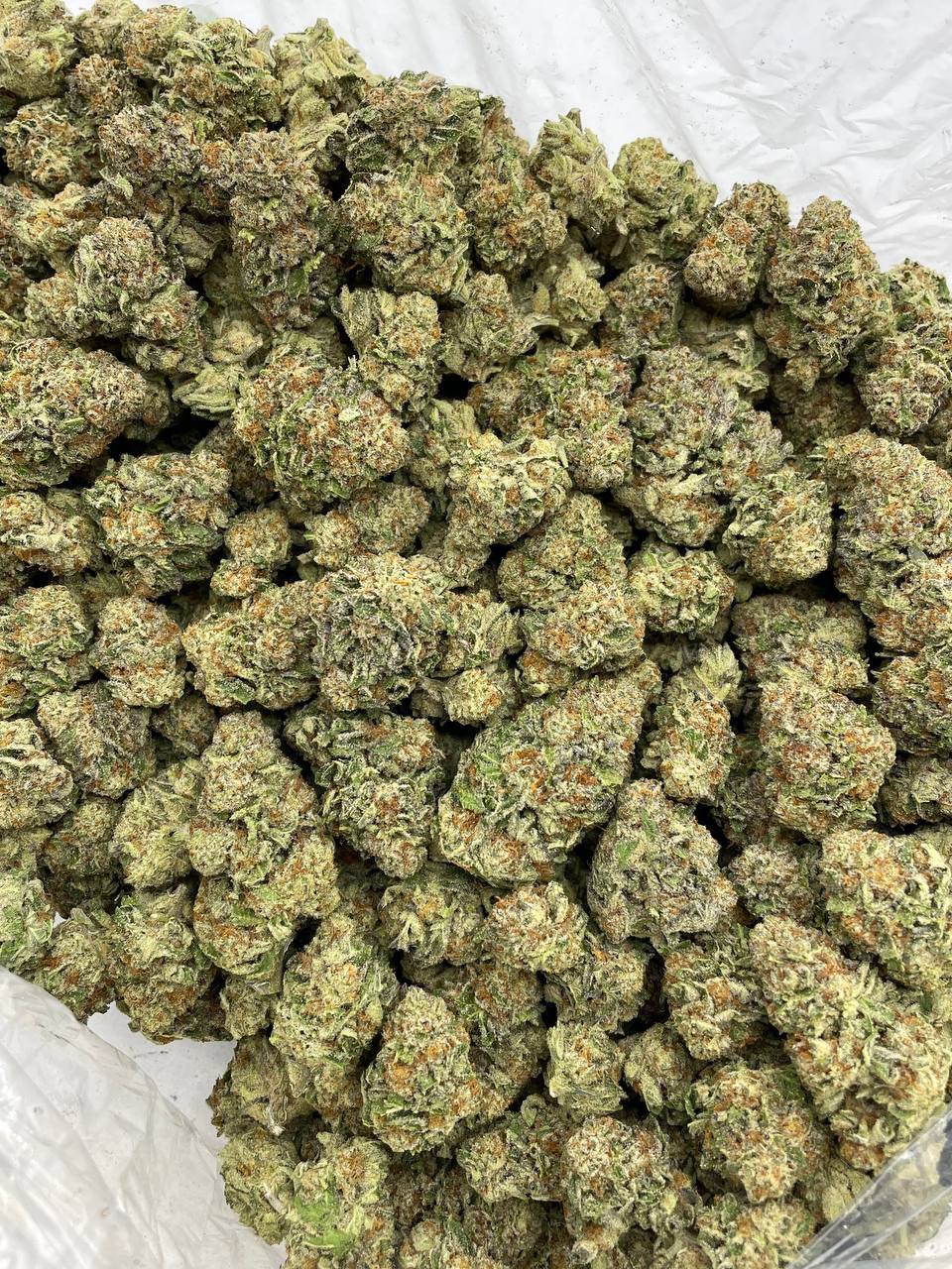 Sunkist mixed lights