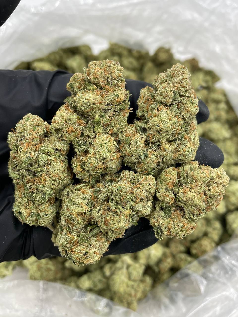 Sour Chem mixed lights - Image 3