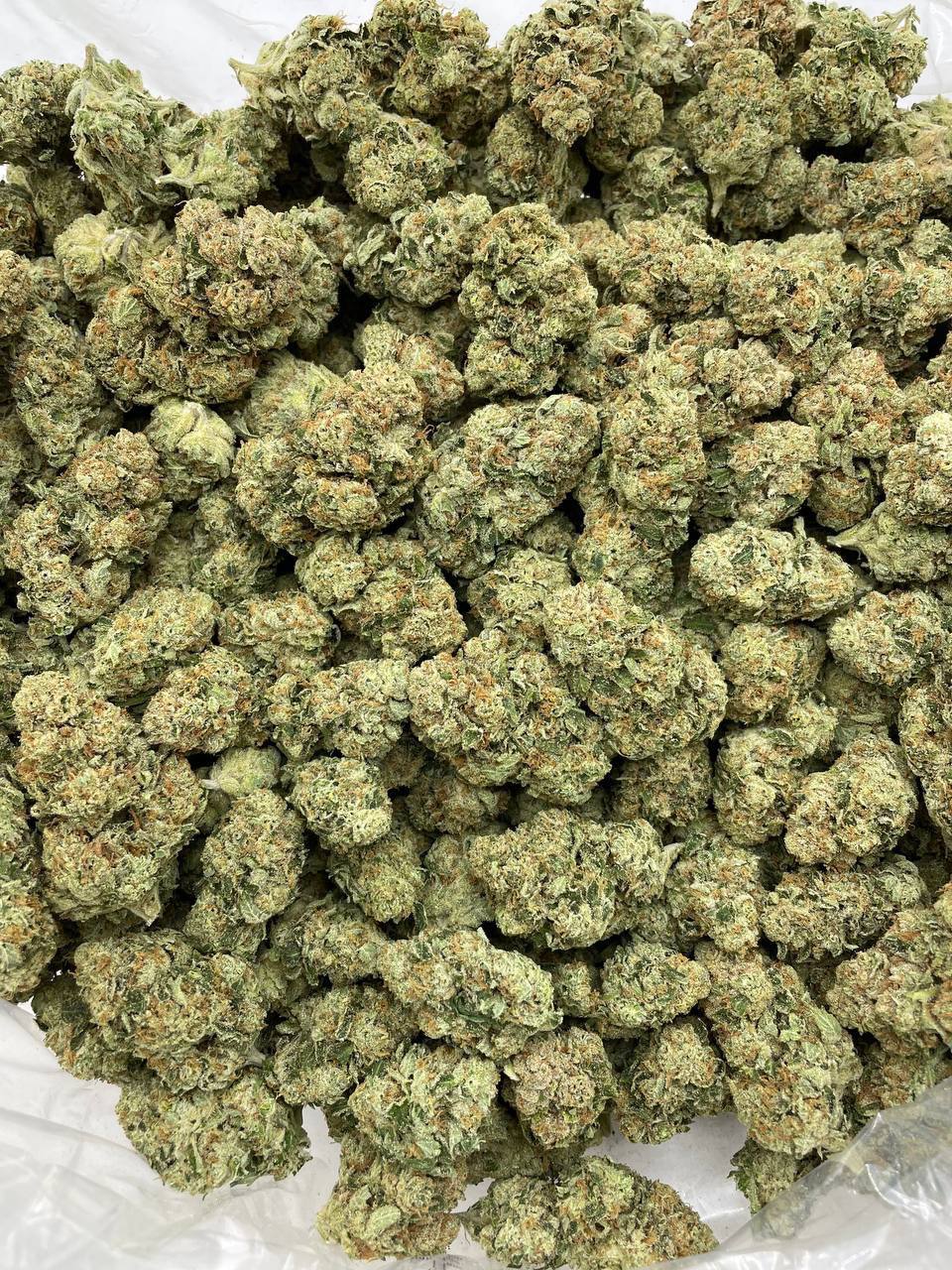 Sour Chem mixed lights