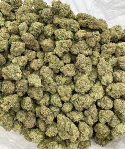 Marijuana Strains