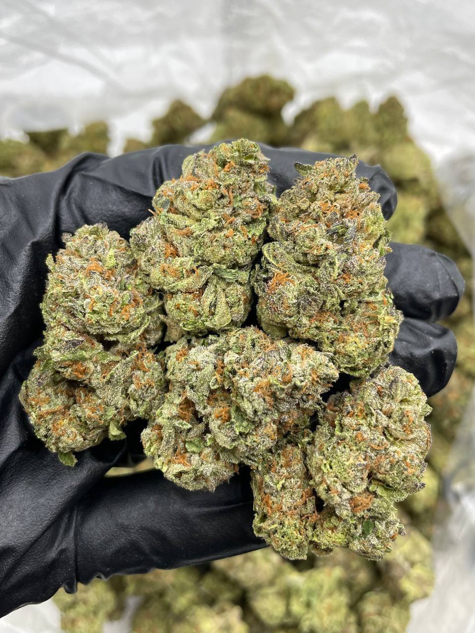 Dosi Cruffins mixed lights - Image 2
