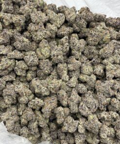 Black Cherry Runtz indoors