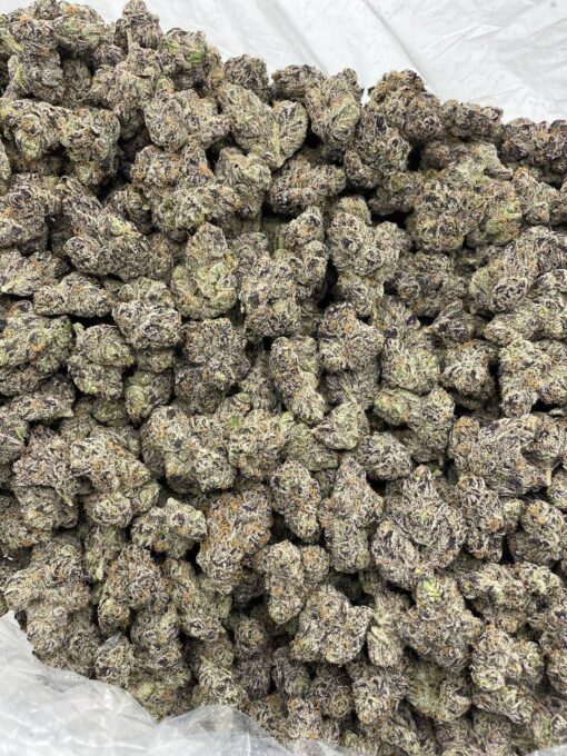 Black Cherry Runtz indoors