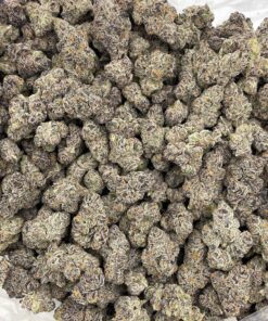 Grape Jolly Rancherz indoors