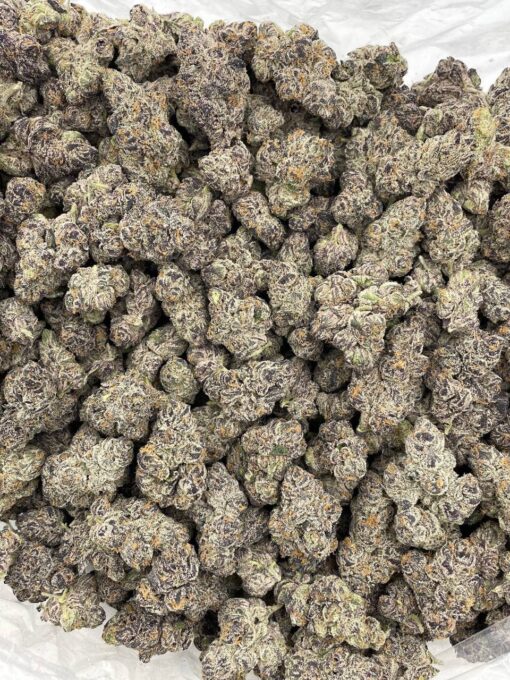 Grape Jolly Rancherz indoors