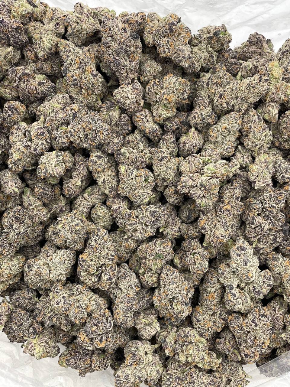 Grape Jolly Rancherz indoors