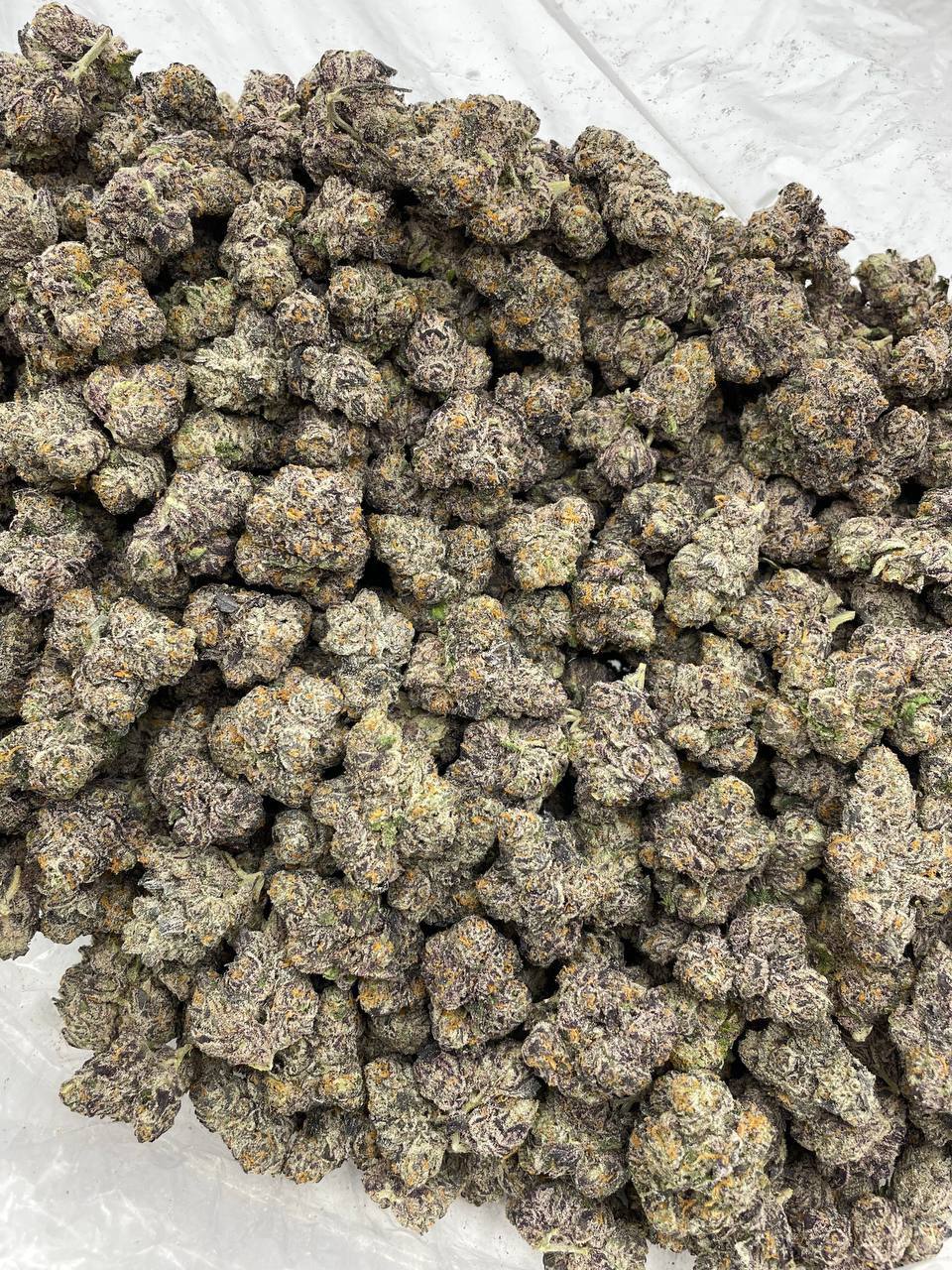 Super Nightshade