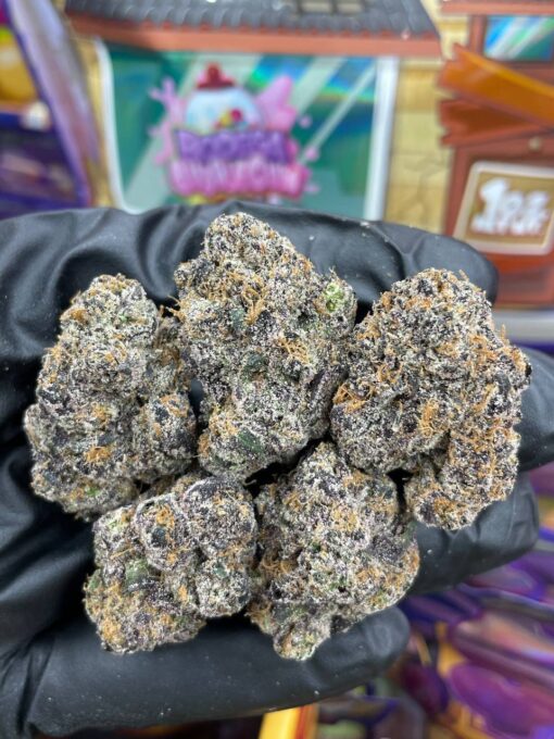 Sweetz Exotics - Image 5