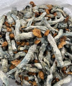 Psychedelics