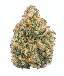Chemdawg - Chemdog