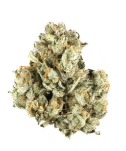 Afghan Kush