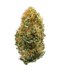White Widow