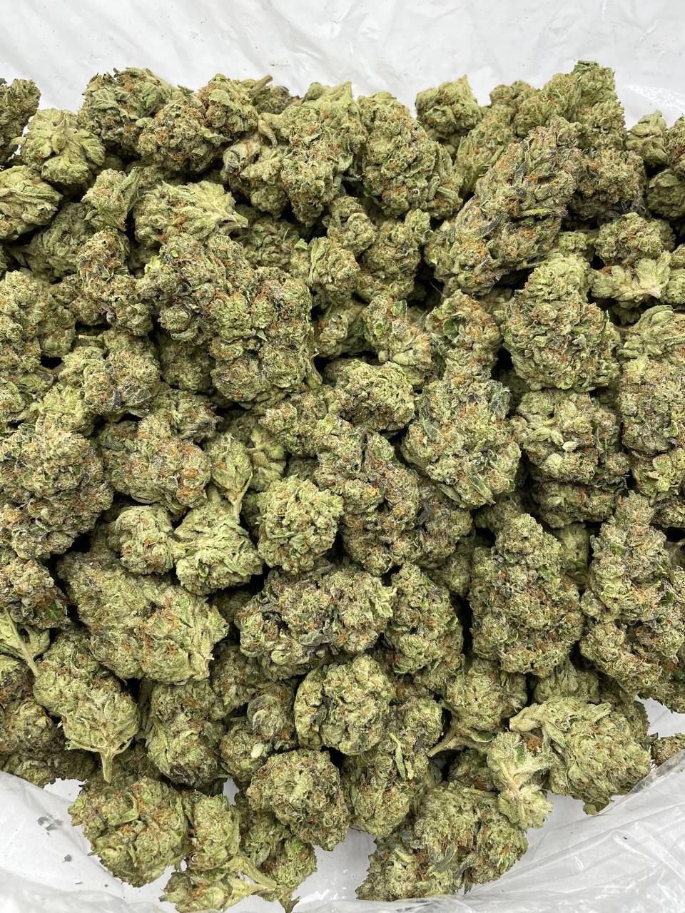 Divorce Cake - Image 2