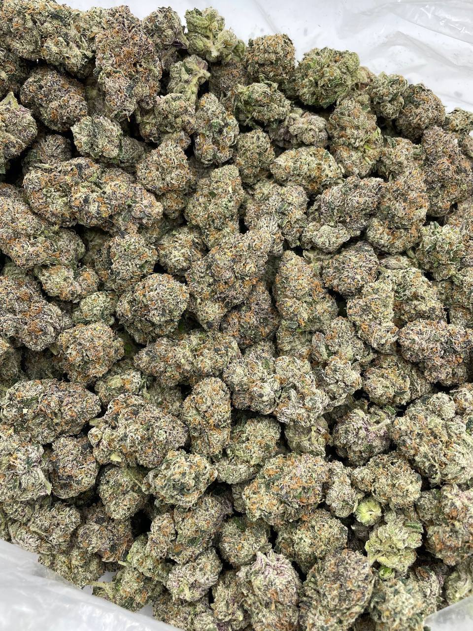 Rainbow Gumbo - Image 2