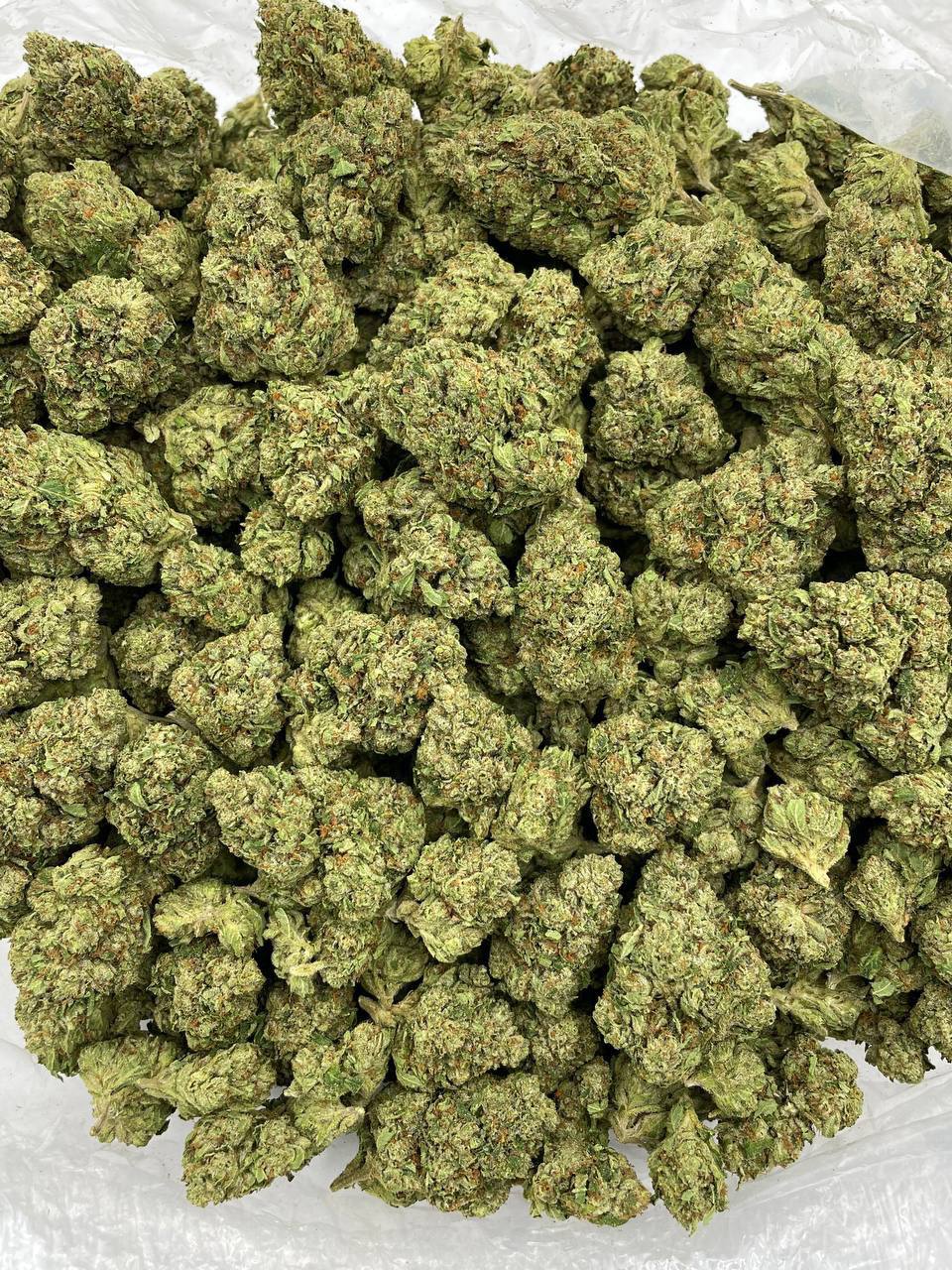 Billy Kimber OG - Image 2