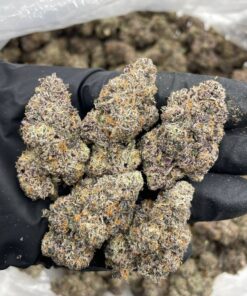 Blue Candy Bubblegum