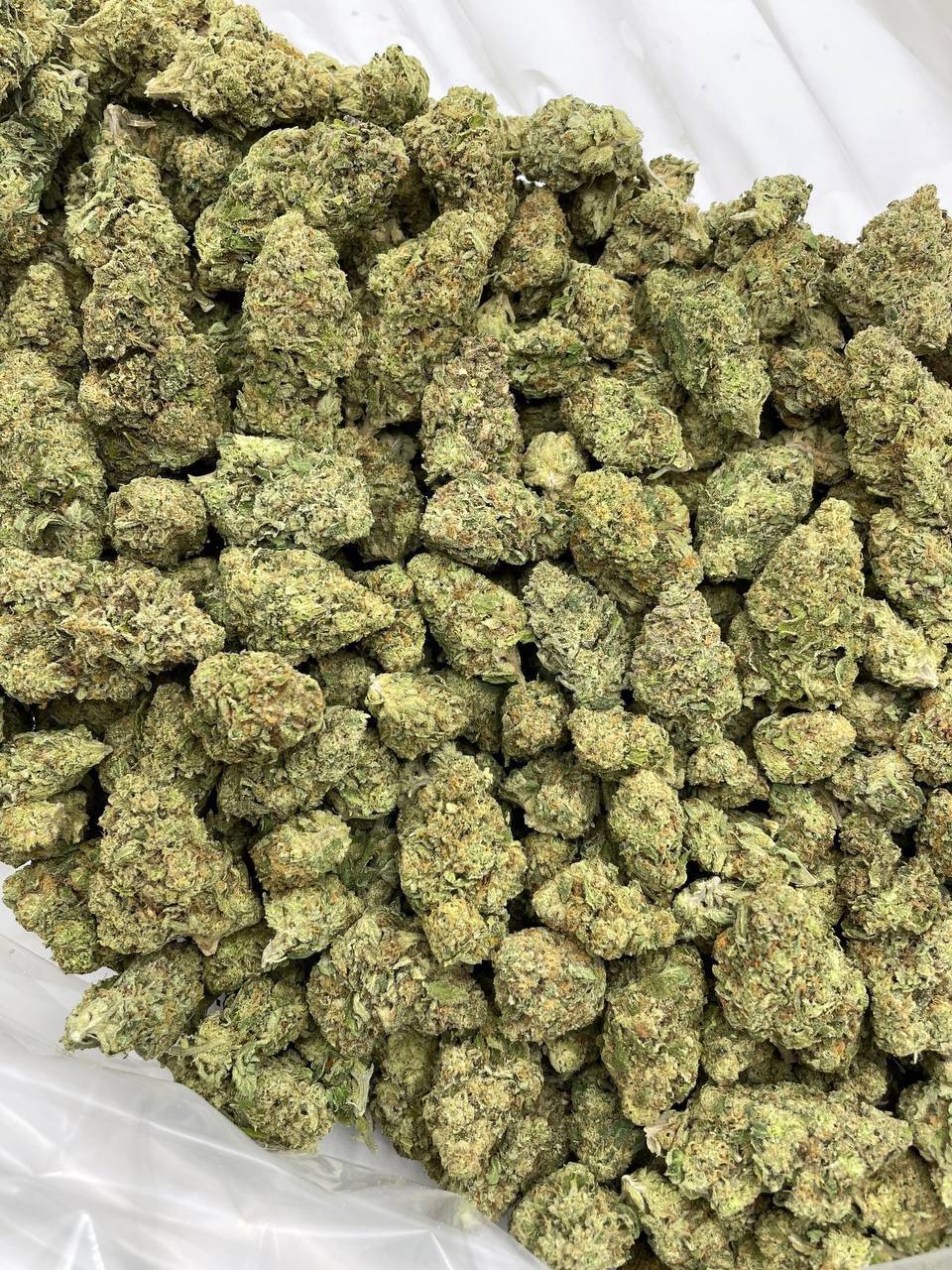 Frozen Lemonade - Image 2