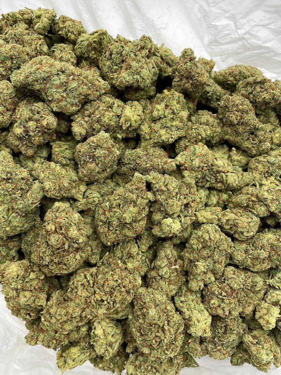 Mango Margarita - Image 2