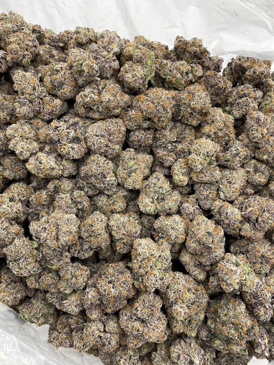 Party Popperz - Image 2