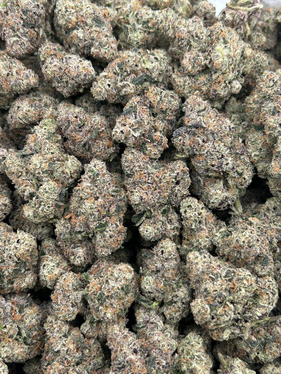 Midnight Mintz - Image 2