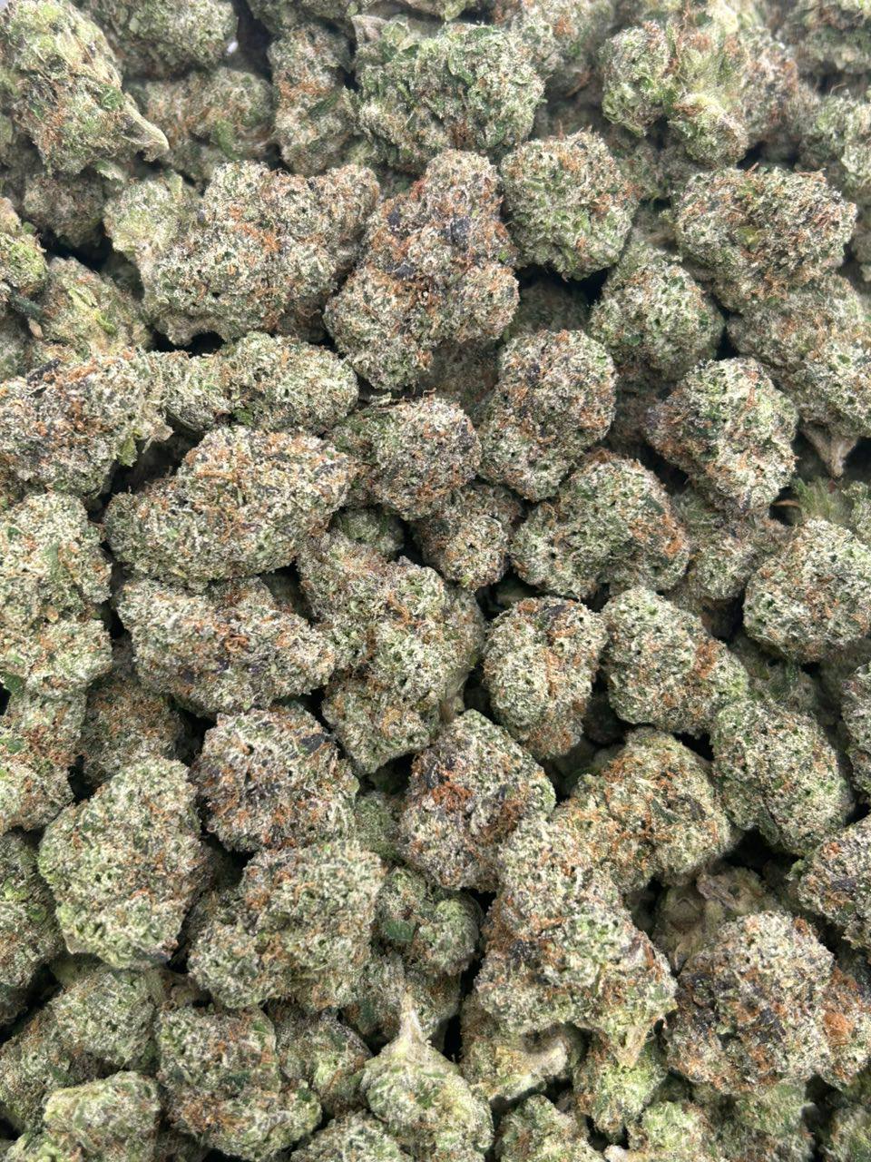 Gumbo Candy - Image 2