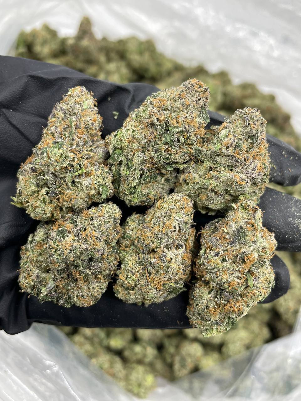 Jawbreaker - Image 2