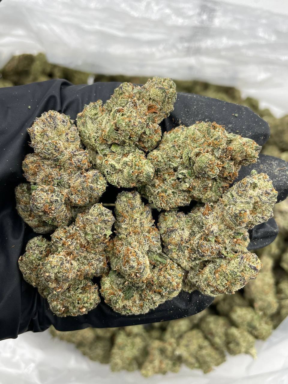 Frozen Granny Smith - Image 2