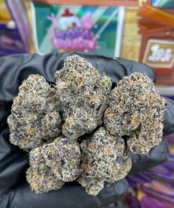 Sweetz Exotics