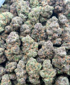 Gelato
