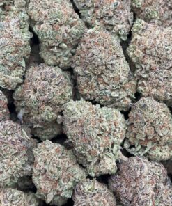 Pluto Kush