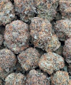 Platinum Bubba