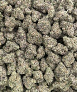 Gucci Fruit