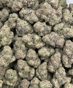 Gelato 41