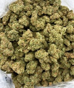 Candy Jack