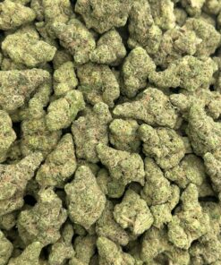 Sluggerz GMO