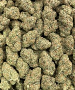 Candy Skunk