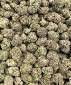 Purple Lemon Cherry
