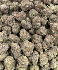 Gelato Pop
