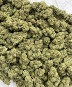 Gorilla Glue