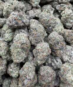Electric Bubblegum