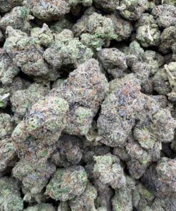 Grapes Candy Gelato